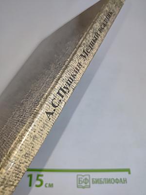 Медный всадник