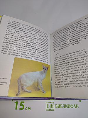 Сиамская кошка