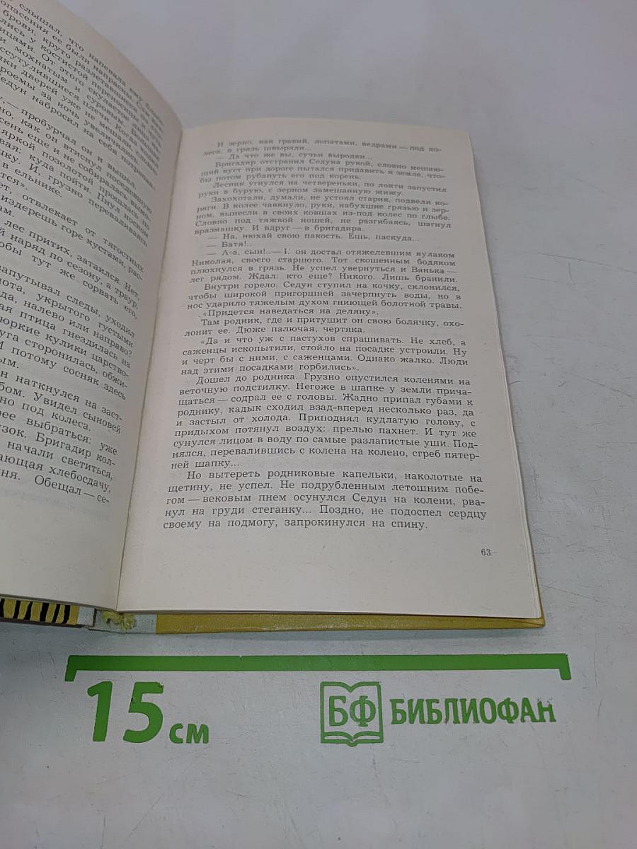 В сосновом красном бору