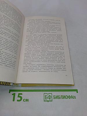 В сосновом красном бору