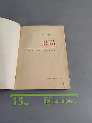 Луга. Путеводитель
