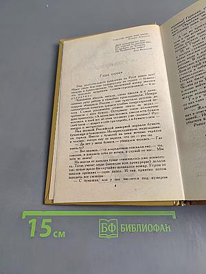 Слово и дело. Роман-хроника времен Анны Иоанновны