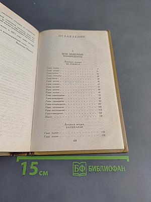 Слово и дело. Роман-хроника времен Анны Иоанновны