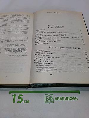 В темных религиозных лучах
