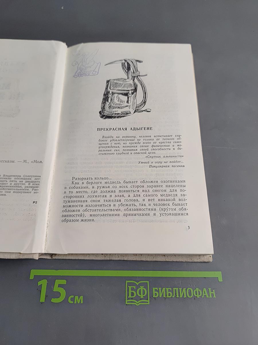 Мед на хлебе