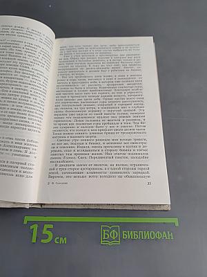 Мед на хлебе