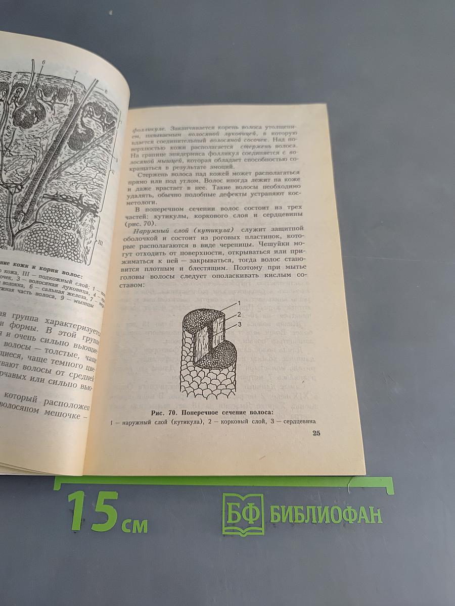 Стрижка, моделирование прическа