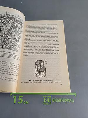 Стрижка, моделирование прическа