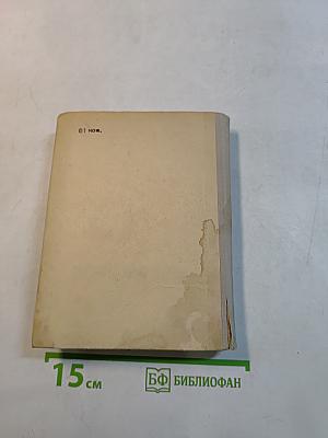 В середине лета