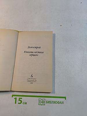 Домострой. Юности честное зерцало