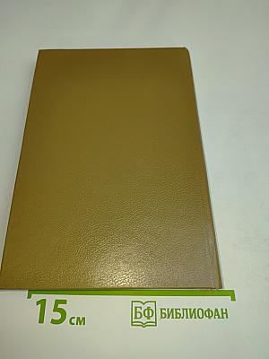 Последний бастион