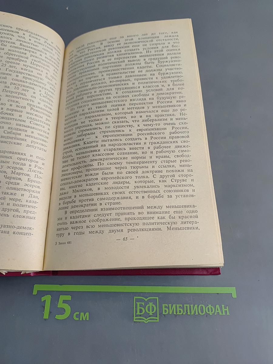 Октябрьский переворот. Революция 1917 года глазами ее руководителей. Воспоминания русских политиков и комментарии западного историка
