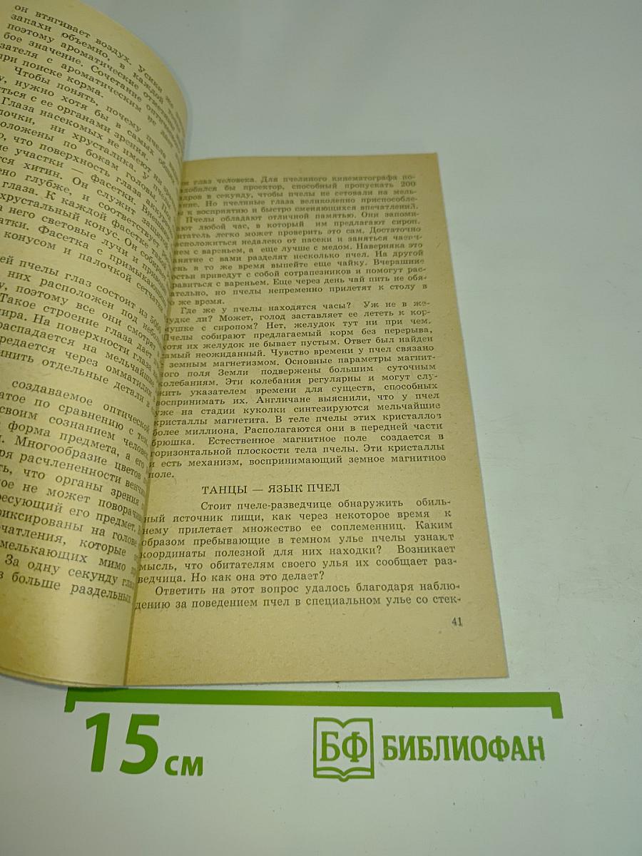 Домашняя пасека