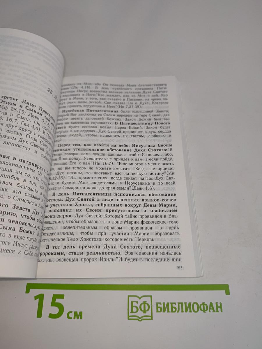Замысел Божий и чудеса Его милосердной любви