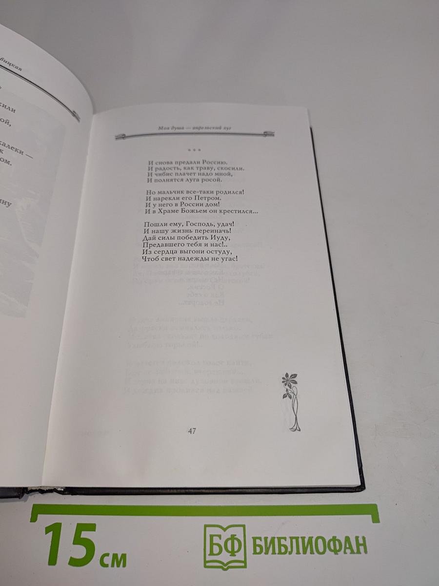 Петербургские встречи. Стихи