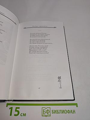 Петербургские встречи. Стихи