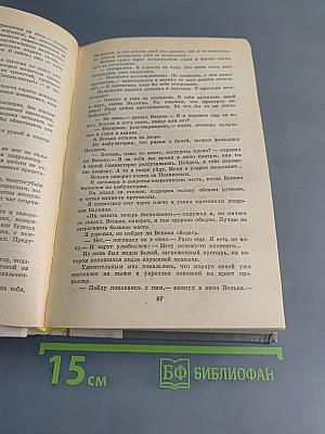 Знаменитый Павлюк