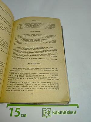 Кладовая солнца. Глаза земли. Корабельная чаща