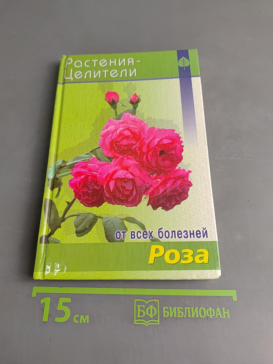 Роза. Растения-целители от всех болезней