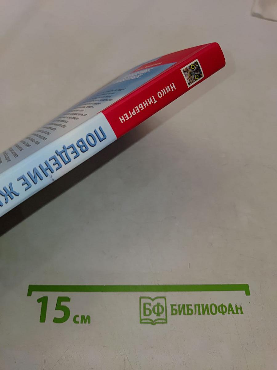Поведение животных