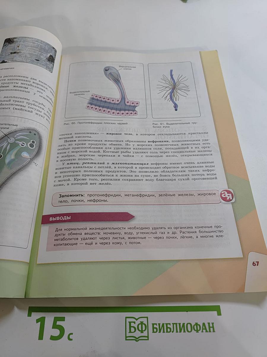 Биология 9 класс