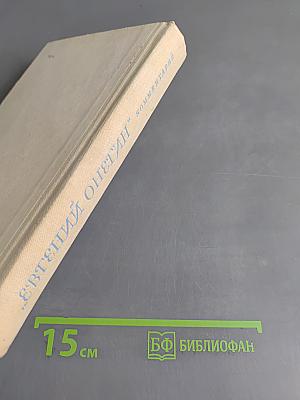 Евгений Онегин. Роман А.С. Пушкина. Комментарий. Пособие для учителя. Издание второе