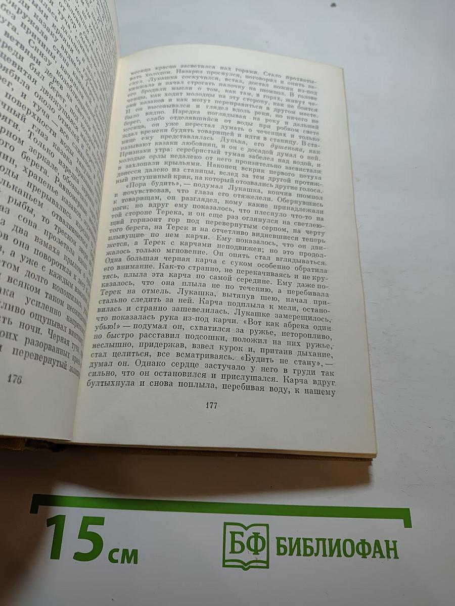 Собрание сочинений. Том третий. Повести и рассказы 1857-1863 гг.