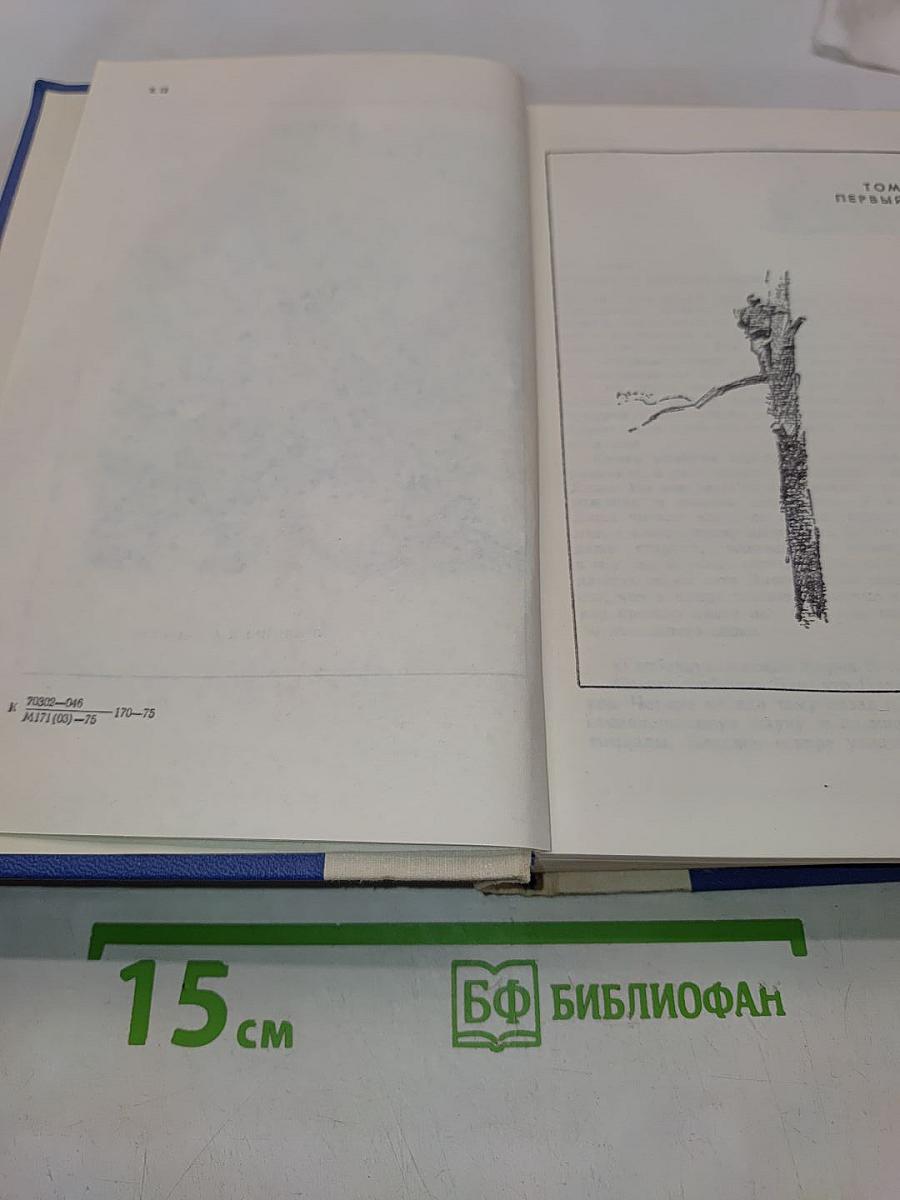 Два капитана