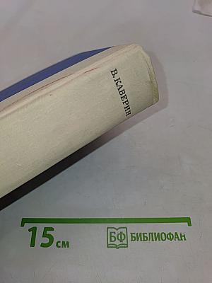 Два капитана