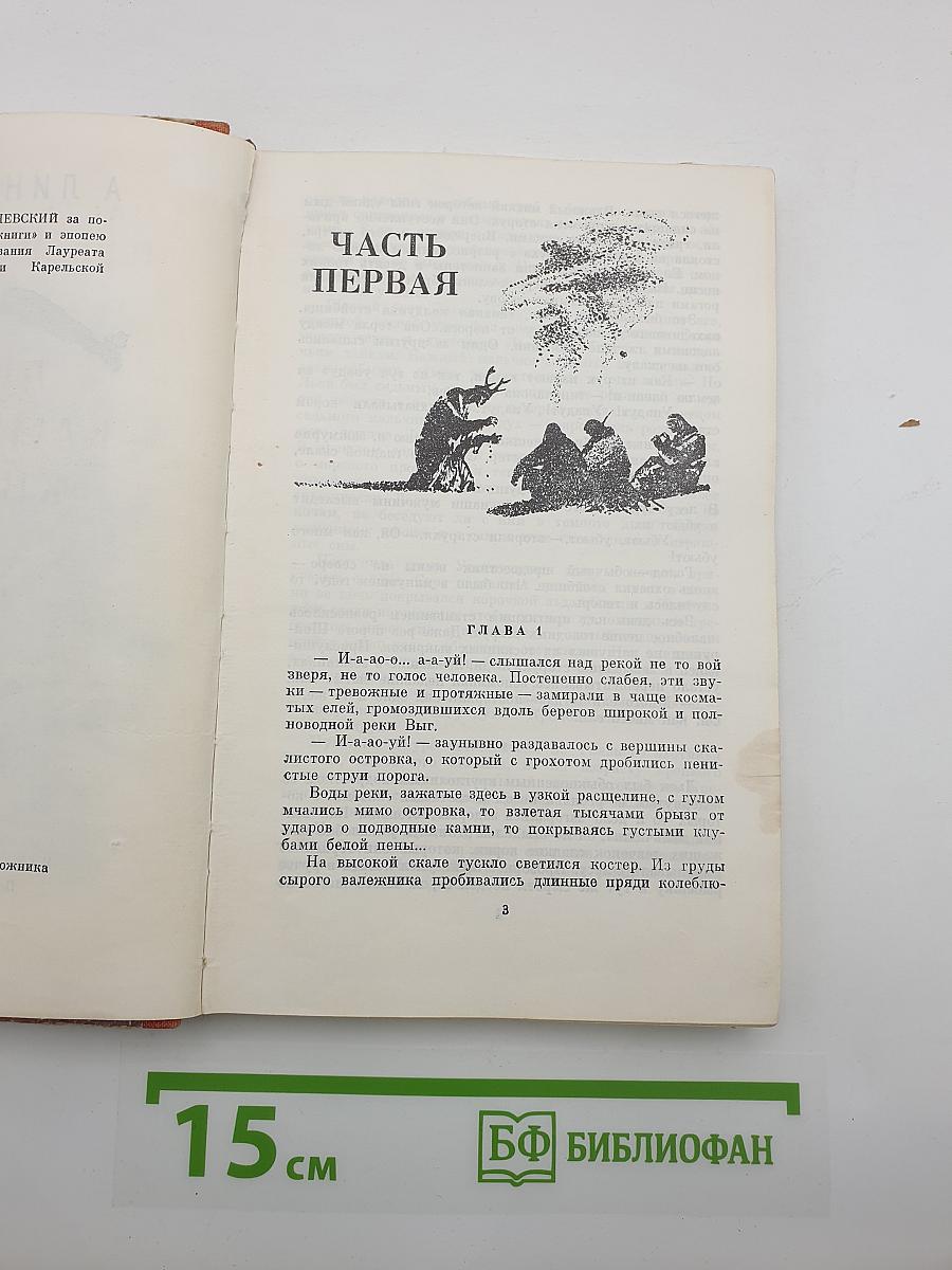 Листы каменной книги