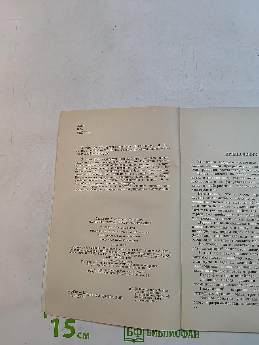 Математическое программирование