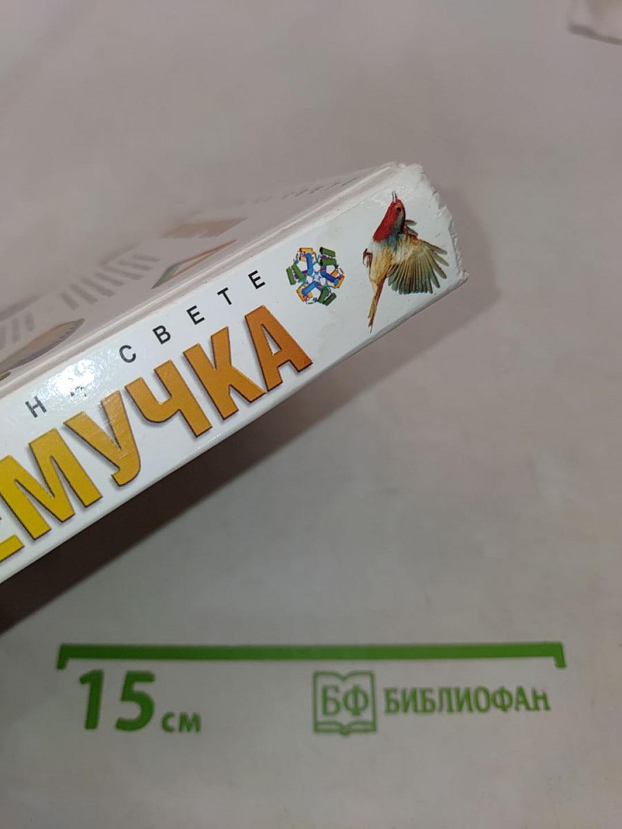 Почемучка