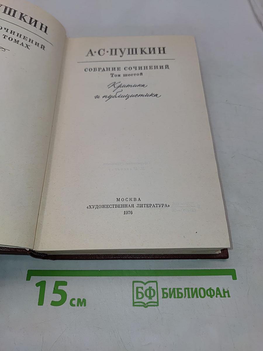 Собрание сочинений в 10 томах. Том шестой. Критика и публицистика