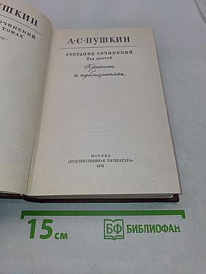 Собрание сочинений в 10 томах. Том шестой. Критика и публицистика