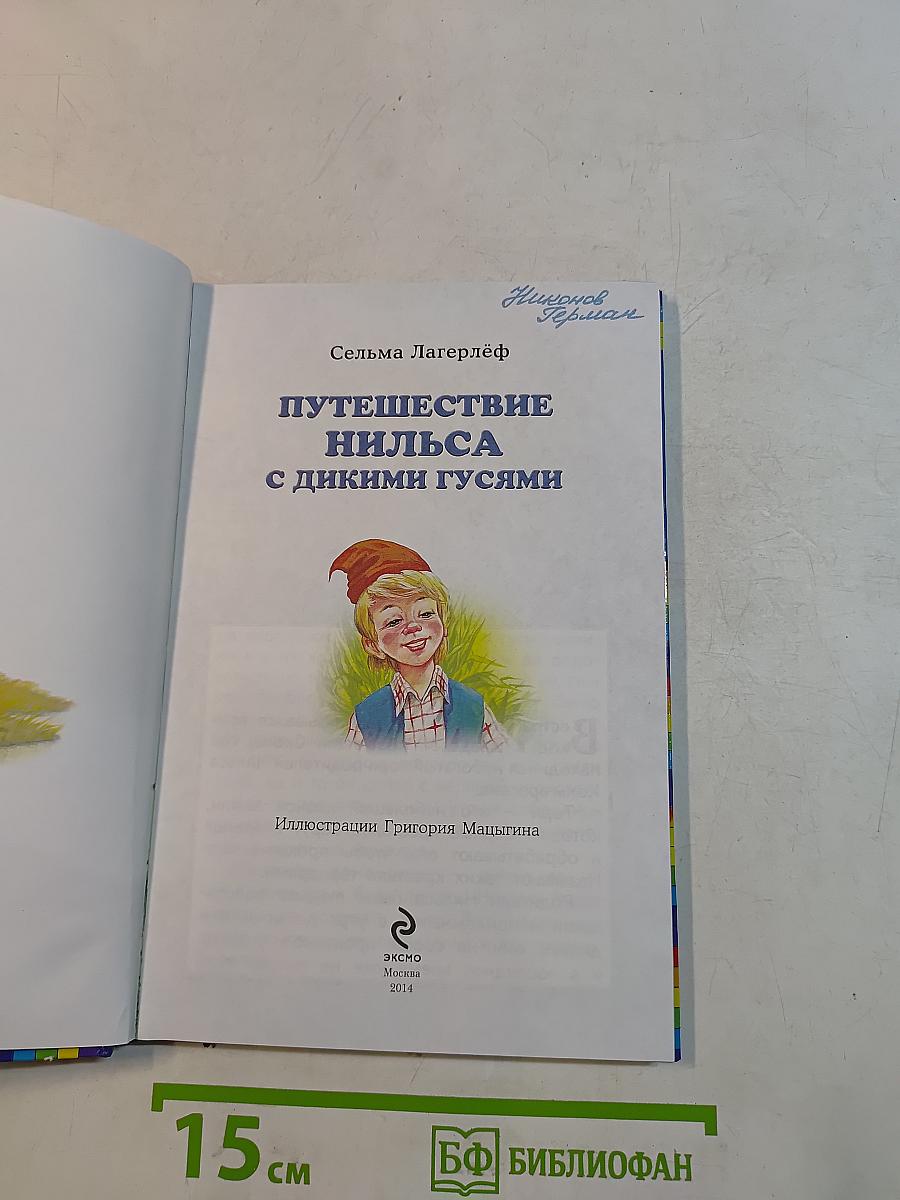 Путешествие Нильса с дикими гусями