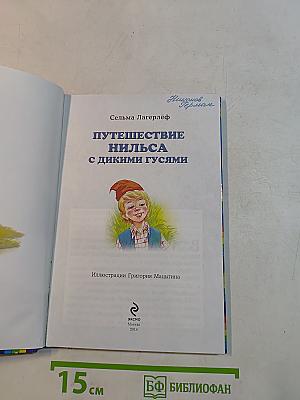Путешествие Нильса с дикими гусями