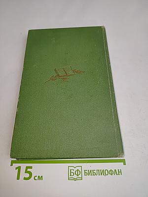 Тимур и его команда. Том первый