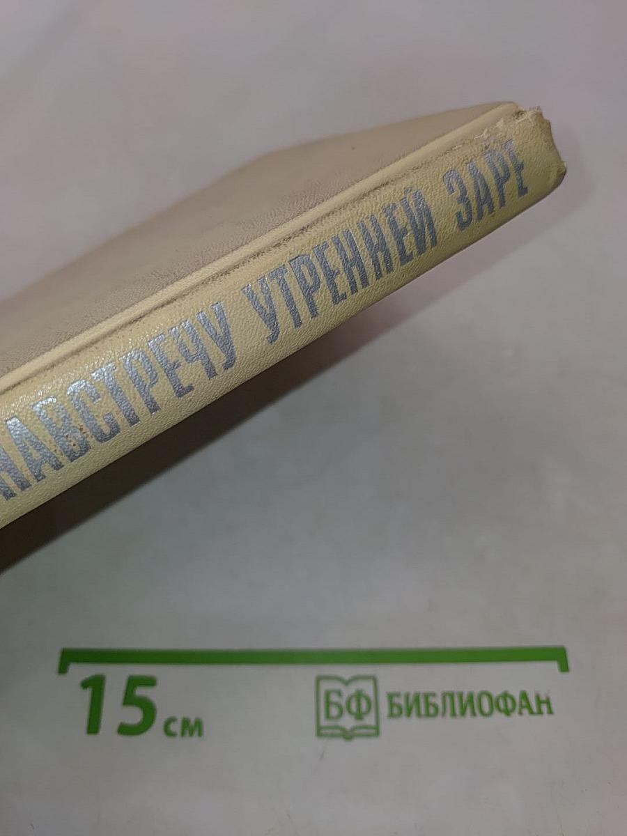 Навстречу утренней заре