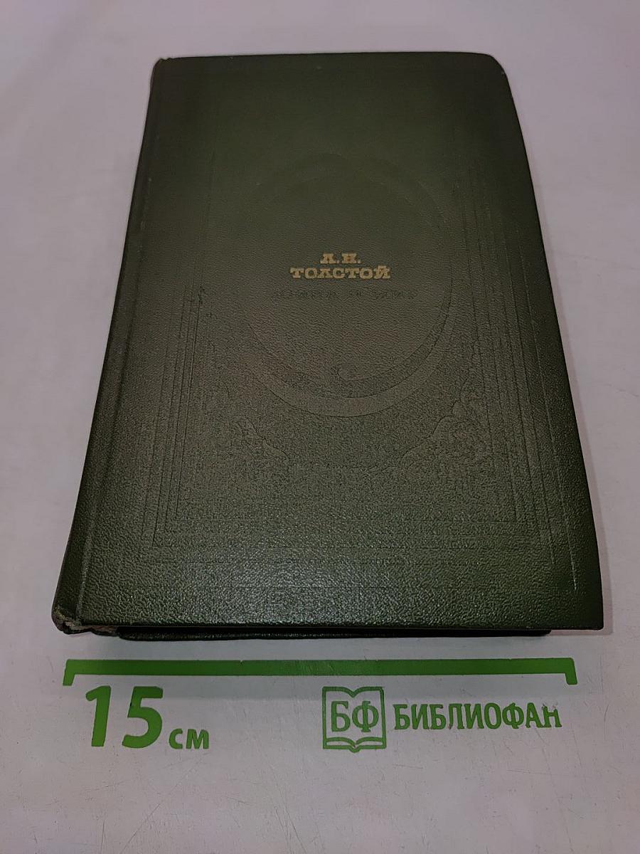 Война и мир. В двух книгах. Книга вторая. Том 3