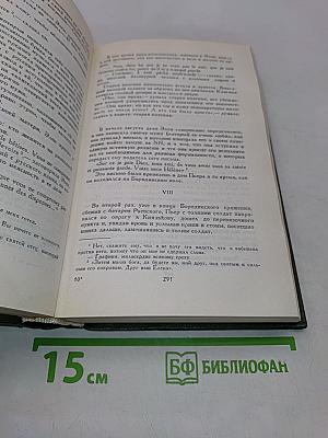 Война и мир. В двух книгах. Книга вторая. Том 3