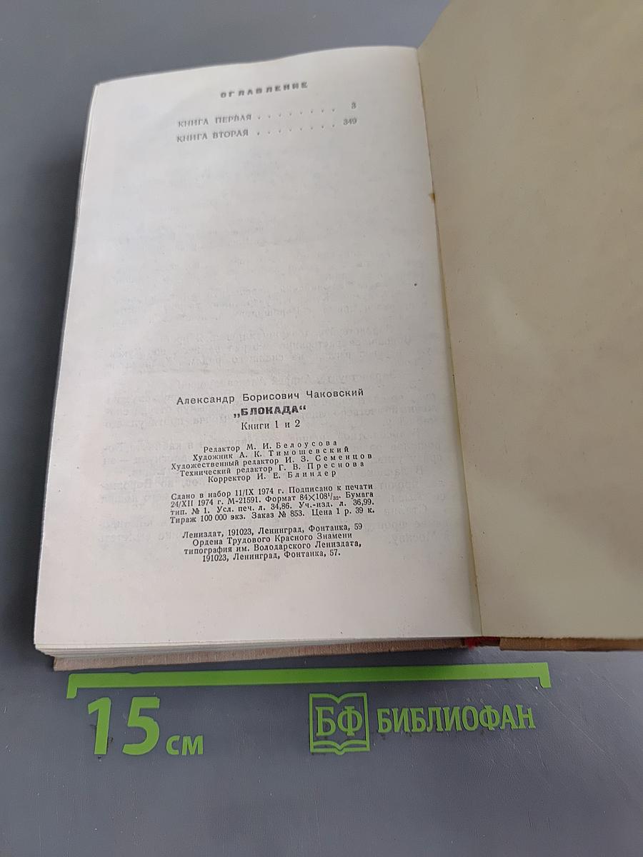 Блокада. Книги первая и вторая