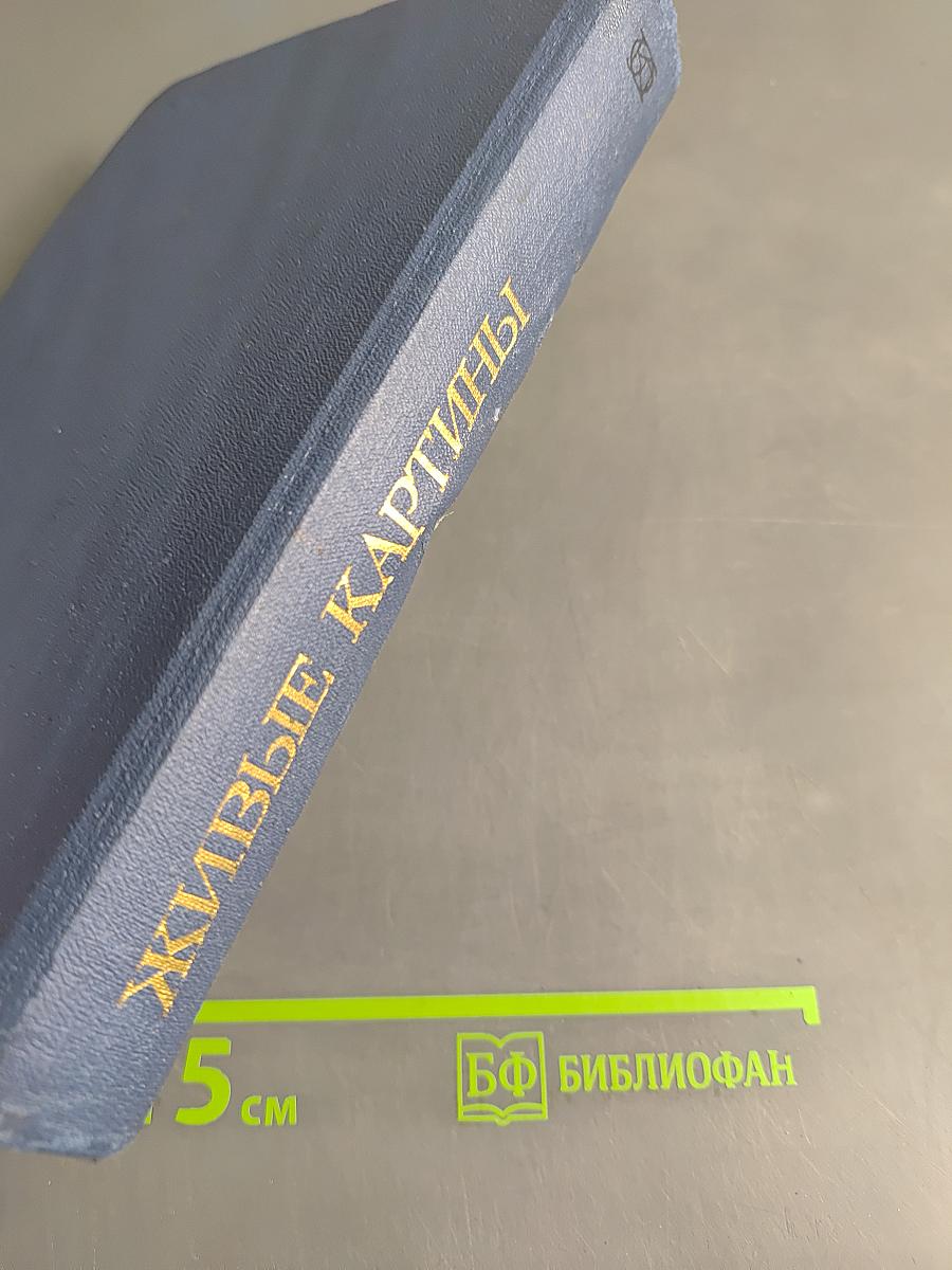 Живые картины. Повести и рассказы писателей «натуральной школы»