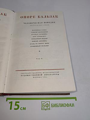 Человеческая комедия. Философские этюды. Том 13
