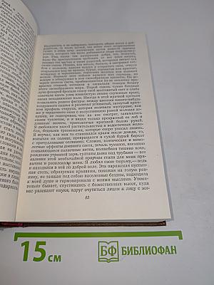 Человеческая комедия. Философские этюды. Том 13
