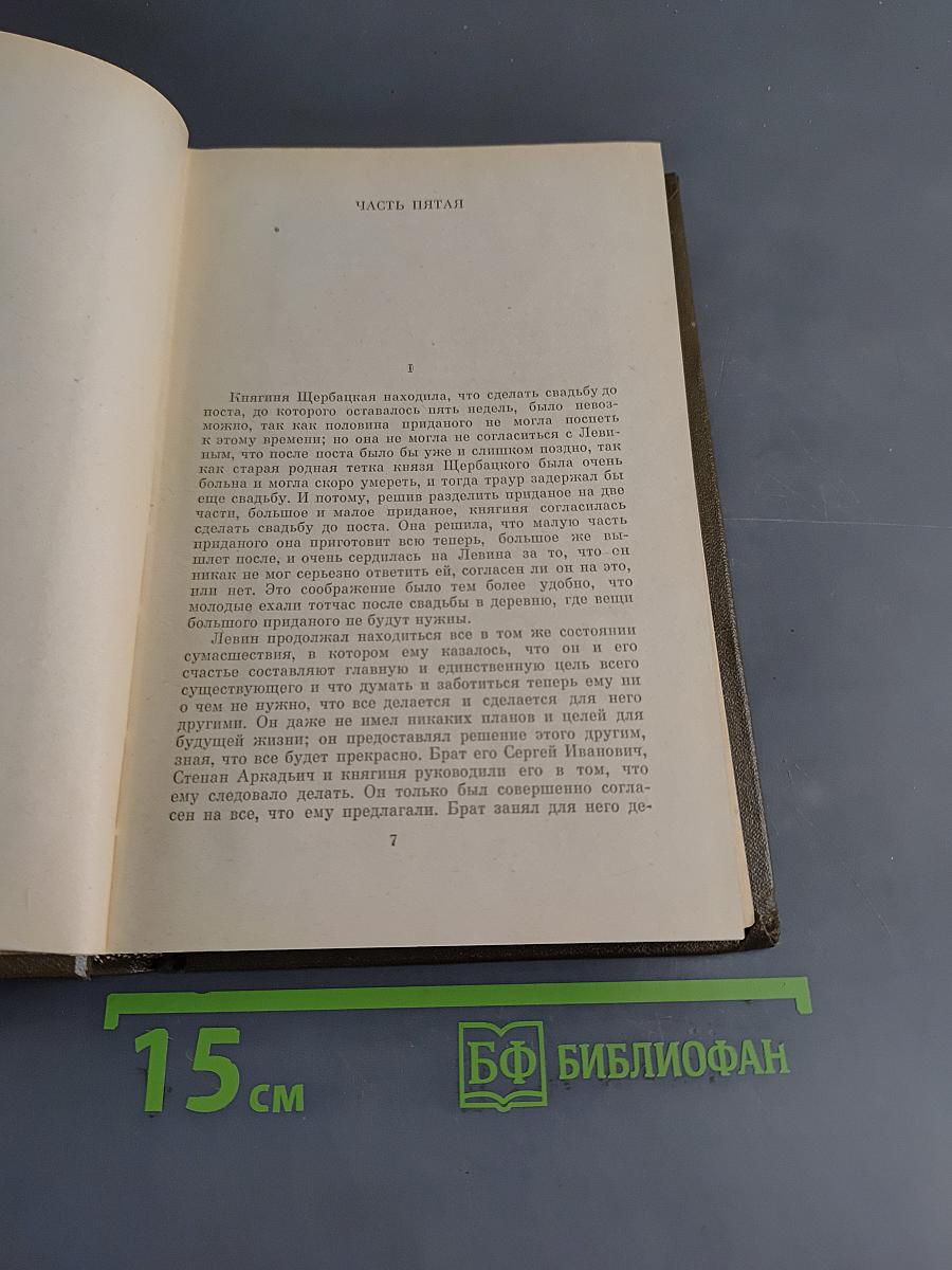 Анна Каренина. Роман в восьми частях. Том девятый