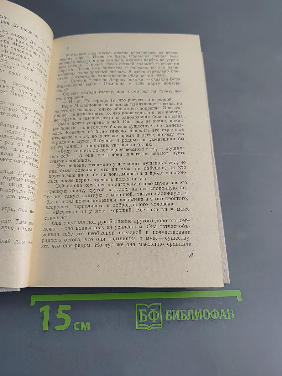 Весенний снег. Вечное дерево