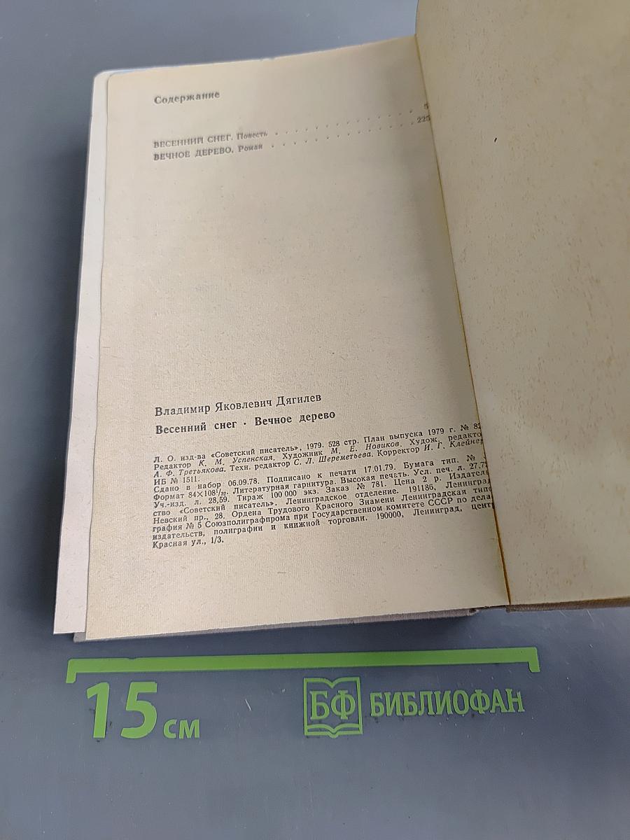Весенний снег. Вечное дерево