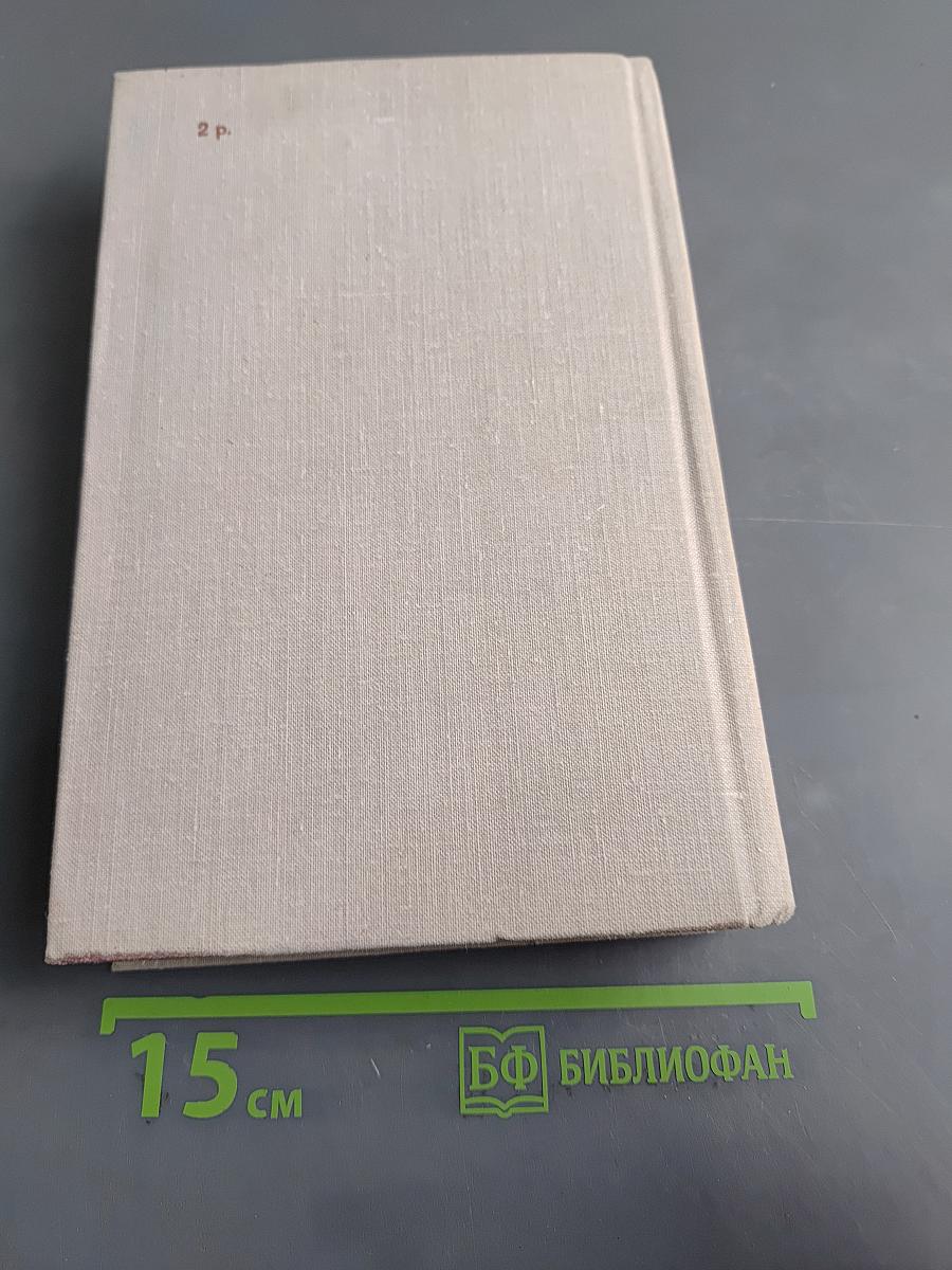 Весенний снег. Вечное дерево