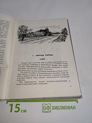Лесные диковины