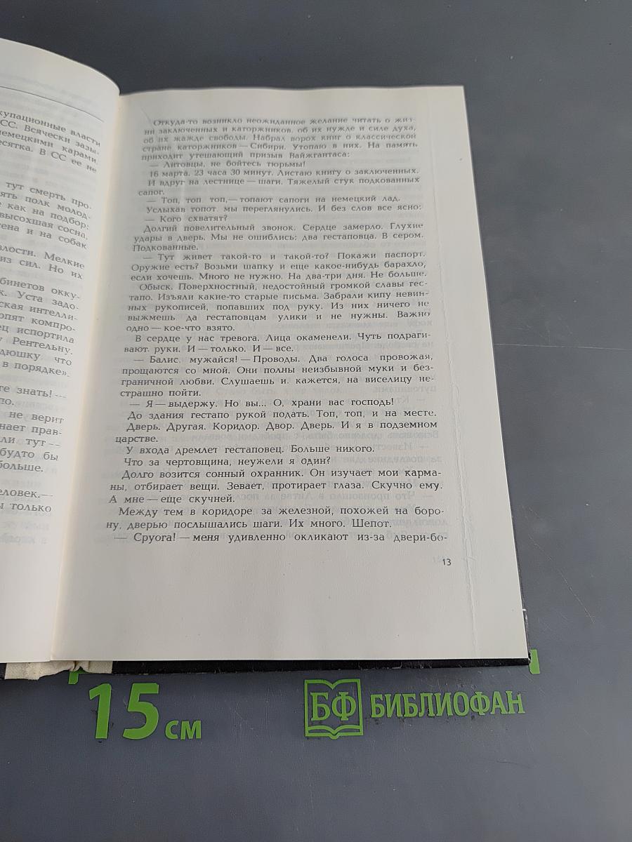 Лес богов